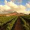 Mitres Edge Vineyard Studio