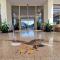 Hotel Condor
