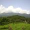 Besrauma Vythiri