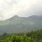 Besrauma Vythiri