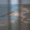 Paradis Apartments - OLIMP SEA VIEW