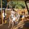 Sea Glamping