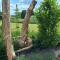 Le jardin des fagnes
