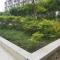 Monteluce 2 BR LOFT with pool 825
