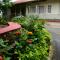 Mid Pine Home Stay - Shillong