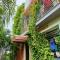 Mango Tree Homestay