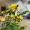 Karle Guest House