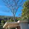 Casa Deck videiras