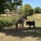 La Bastide de Jean Maison de charme dans un domaine equestre privé - Grasse