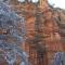 Close to Fresh Creek! Sleeps 12 ~ Amazing Views w/Serene Open Space ~ Hot Tub + Game Room ~ Trails outside - Sedona