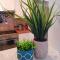 Ikaria village cosy appts