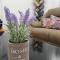 Ikaria village cosy appts