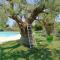 Masseria Galleppa - Rooms, Pool and Relax