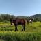 MyParadise-Farm Villa in the centre of South Crete