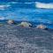 Beachfront 1 Bedroom Condo with Private Beach, Pool, Hot Tub