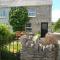 Carrig Beag