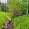 Creekside Morrison Cabin about 9 Mi to Red Rocks Park!