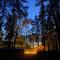 Forest and Lake