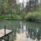 Forest and Lake