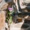 Villas La Mar - Adults 15 plus