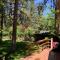 BLUEBEARY PINES-PERFECT ESCAPE-PRIVATE HOT TUB-WALK to SKI SHUTTLES - Big Bear Lake