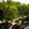 Treetop Apartment