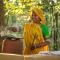 Kanha Jungle Lodge