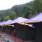 Barot , Waterfall Camps and Domes I Best seller - Mandi