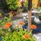 Hostel Sonce