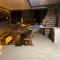 Apartments Antini