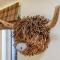 Hoglets