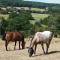 Maisonnette en campagne "Le Rocher" - Vibraye