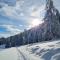 Chalet Chapeau RaR