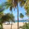 Beach Studio 20