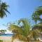 Beach Studio 20