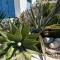 Ikaria village cosy appts