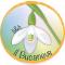 B&B Il Bucaneve