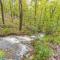 Cozy Creekside Log Cabin w Firepit, Hot Tub, WIFI