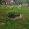 Apartman Dalal - with access to river Una