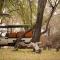 Moditlo River Lodge