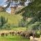 St Fort Farm Guesthouse - Clarens