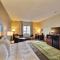 Comfort Inn Edinburg South