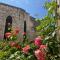 Cocooning Avignon