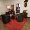 Vintage Downtown Hostel - 布拉索夫