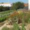 Chambre d'hôte Fleur de Potager - Les Sables-dʼOlonne