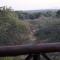 Giraffe plains