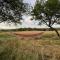 Romantic Wildlife Tipi Teepee Tomnatic Bihor Romania Apuseni - Tomnatic