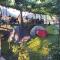 Kulla e Vjeter (Bar Restaurant, Guesthouse, Parking and Camping)