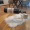Apartment Jonas by Interhome