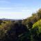 Olive Tree Hillside Apartment